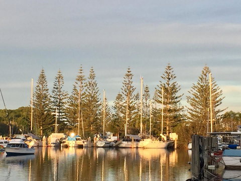 Brunswick Heads Treetop Studio - Northern Rivers Accommodation 24