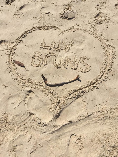 Brunswick Heads Treetop Studio - Northern Rivers Accommodation 5