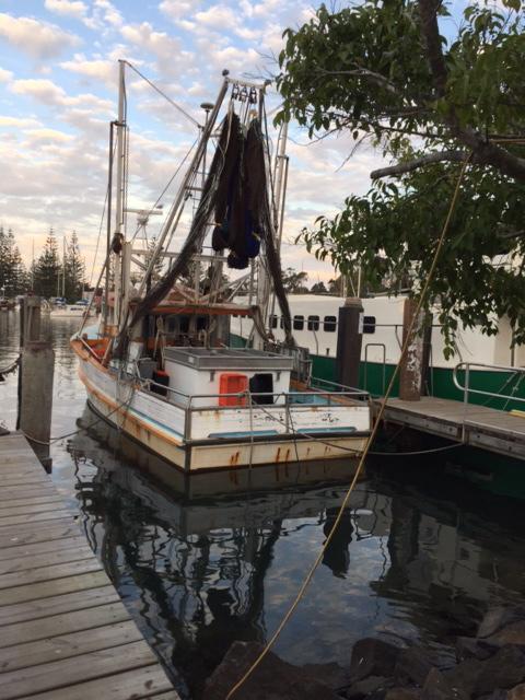 Brunswick Heads Treetop Studio - Northern Rivers Accommodation 25