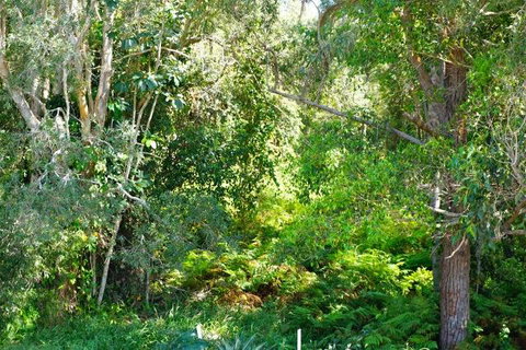 Brunswick Heads Treetop Studio - Northern Rivers Accommodation 20