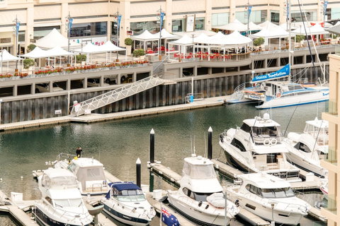Beachside Luxury & Comfort, Ocean Views In Glenelg - Northern Rivers Accommodation 6