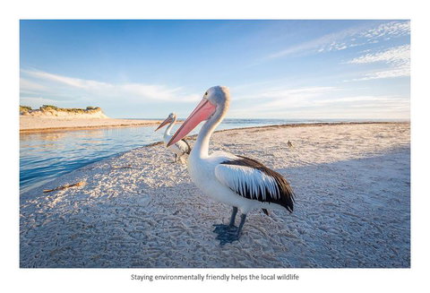 Adelaide Luxury Beach House - Northern Rivers Accommodation 25