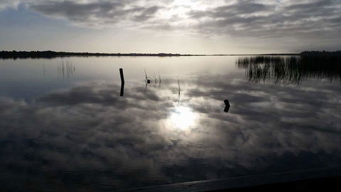PS Federal Retreat Paddle Steamer Goolwa - Northern Rivers Accommodation 16