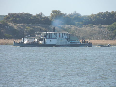 PS Federal Retreat Paddle Steamer Goolwa - Northern Rivers Accommodation 10