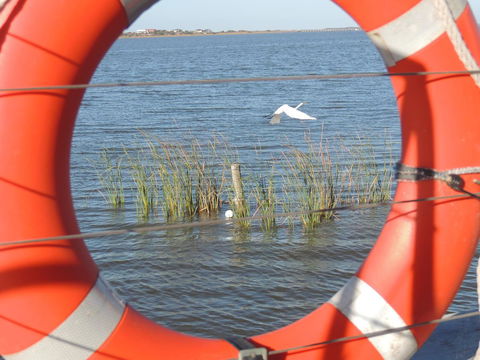 PS Federal Retreat Paddle Steamer Goolwa - Northern Rivers Accommodation 18