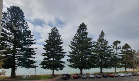 Pier Hotel Port Lincoln - Northern Rivers Accommodation 12