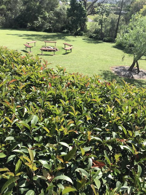 Avon View Stays Accommodation. - Northern Rivers Accommodation 10