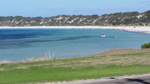 Rosie\'s - Northern Rivers Accommodation 20