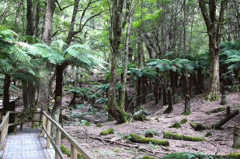 Wallace Lodge - PID-STRA-16871 - Northern Rivers Accommodation 11