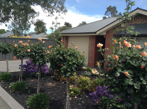 C And C Tanunda - Northern Rivers Accommodation 1