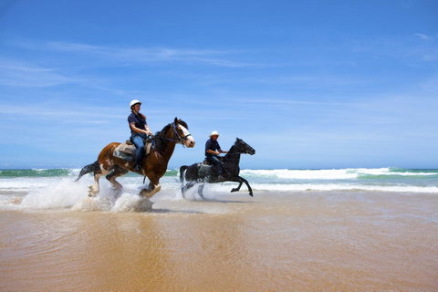 One Mile Retreat - Northern Rivers Accommodation 26