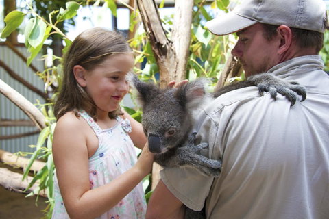 One Mile Retreat - Northern Rivers Accommodation 16