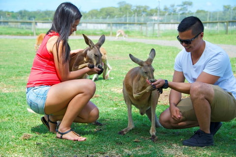 One Mile Retreat - Northern Rivers Accommodation 25