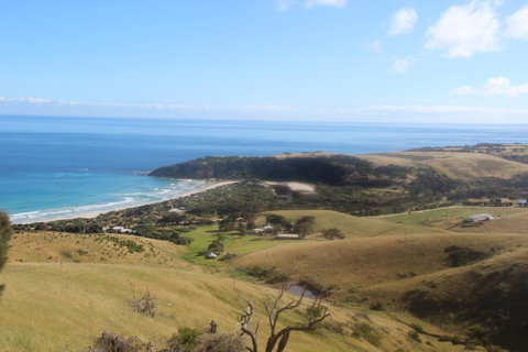 Middle River Beach House - East & West House - Northern Rivers Accommodation 24