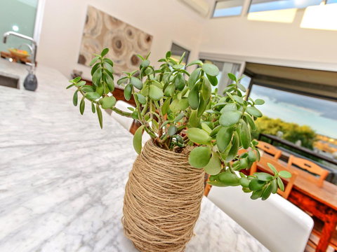 Muse On The Murray - Northern Rivers Accommodation 25