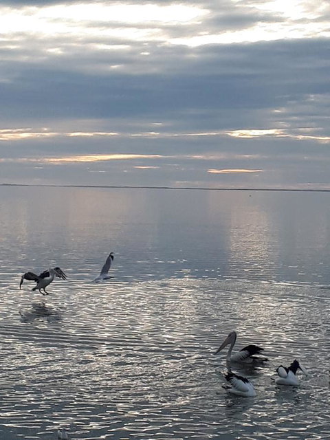 Meningie Waterfront Motel - Northern Rivers Accommodation 24