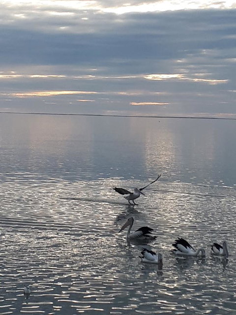 Meningie Waterfront Motel - Northern Rivers Accommodation 25