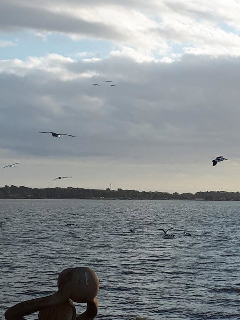 Meningie Waterfront Motel - Northern Rivers Accommodation 34