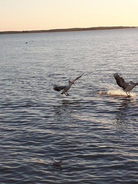 Meningie Waterfront Motel - Northern Rivers Accommodation 21