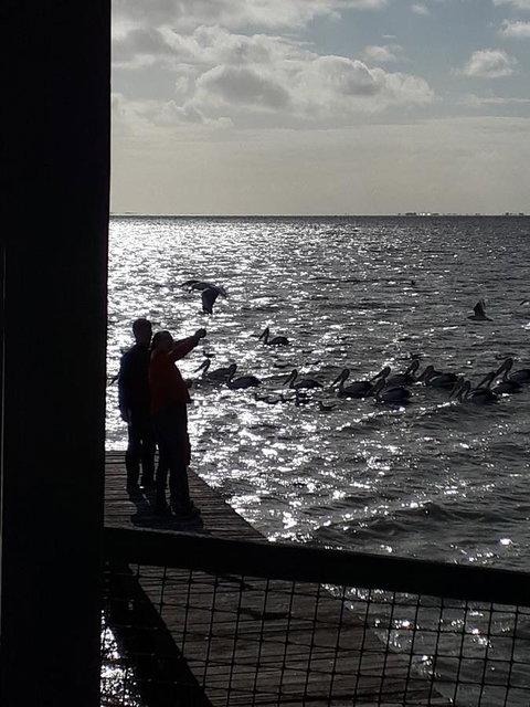 Meningie Waterfront Motel - Northern Rivers Accommodation 27