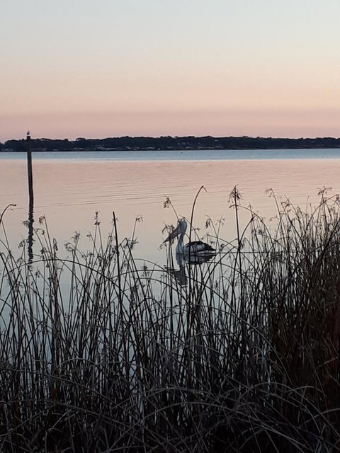 Meningie Waterfront Motel - Northern Rivers Accommodation 8