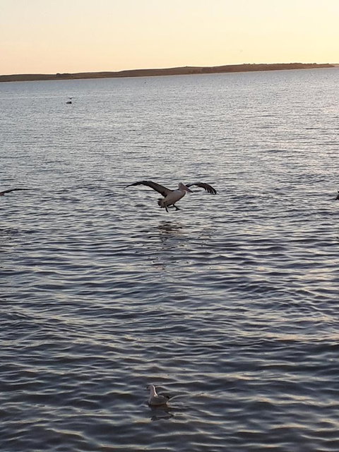 Meningie Waterfront Motel - Northern Rivers Accommodation 22