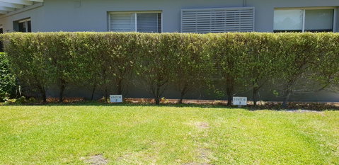 2 Austinmer Studio - Northern Rivers Accommodation 12