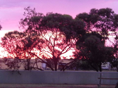 Wudinna Gawler Ranges Motel And Caravan Park - Northern Rivers Accommodation 11