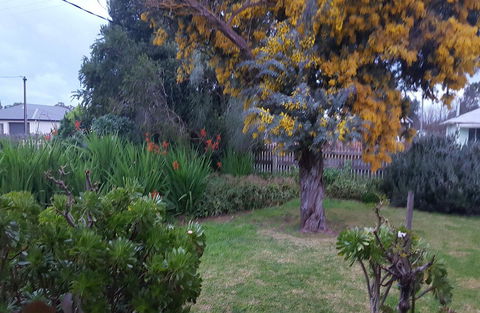 Ruby\'s Cottage - Northern Rivers Accommodation 19