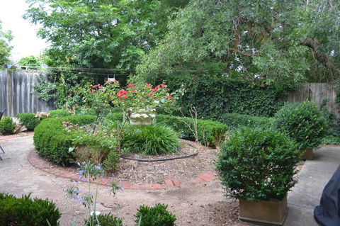 A Secret Treasure - Northern Rivers Accommodation 17