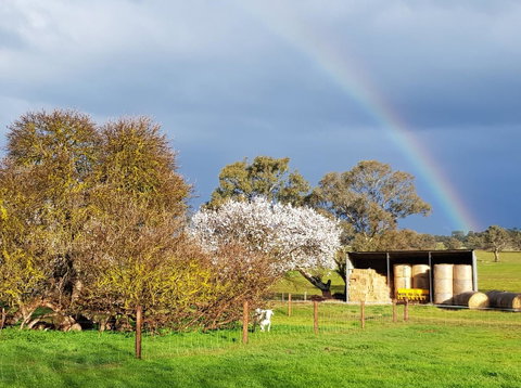 Pennys Road - Northern Rivers Accommodation 18