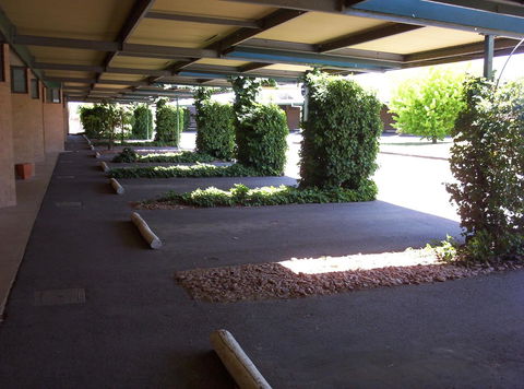 The Wine Vine Hotel - Northern Rivers Accommodation 17