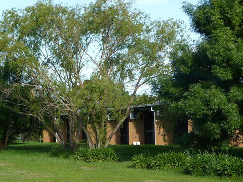 The Wine Vine Hotel - Northern Rivers Accommodation 18