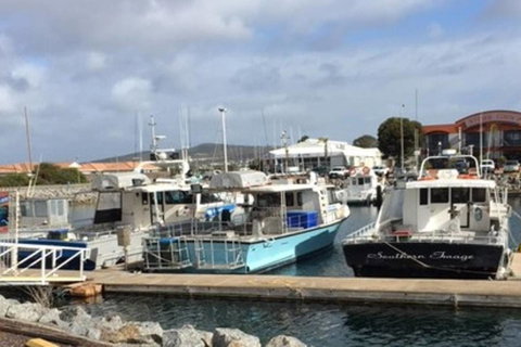 Port Lincoln Shark Apartment 2 - Northern Rivers Accommodation 17