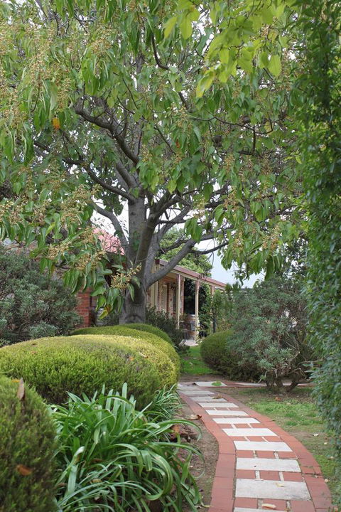 Langmeil Cottages - Northern Rivers Accommodation 2