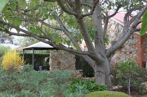 Langmeil Cottages - Northern Rivers Accommodation 3