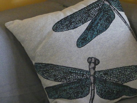 KI Dragonfly Guesthouse - Northern Rivers Accommodation 43