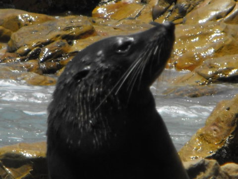 Saar River House - Northern Rivers Accommodation 25