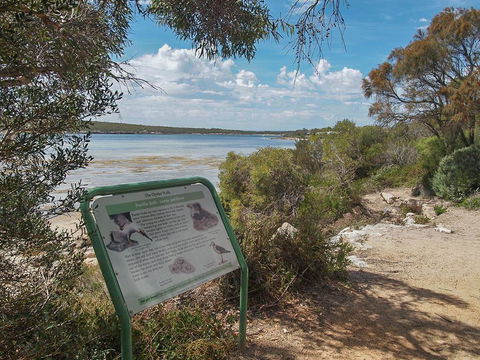 Willygunyah - Northern Rivers Accommodation 31