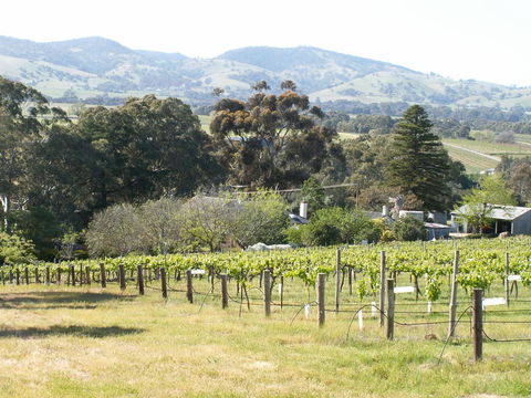 Archery Road Estate - Northern Rivers Accommodation 12
