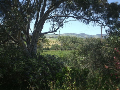 Archery Road Estate - Northern Rivers Accommodation 0