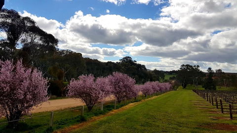 D2 At Watervale - Northern Rivers Accommodation 22