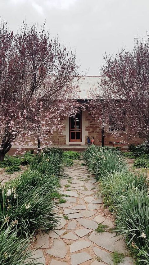 D2 At Watervale - Northern Rivers Accommodation 0