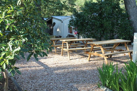 Millicent Hillview Caravan Park - Northern Rivers Accommodation 9