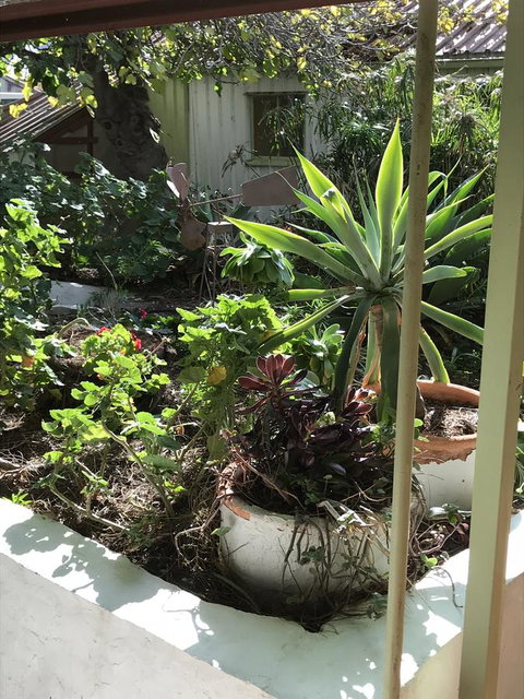 Cosy Nook - Northern Rivers Accommodation 19