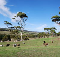 Lisieux Farm Bed and Breakfast - Northern Rivers Accommodation