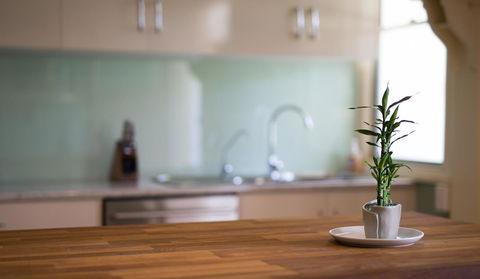 Bilyara House - Northern Rivers Accommodation 21