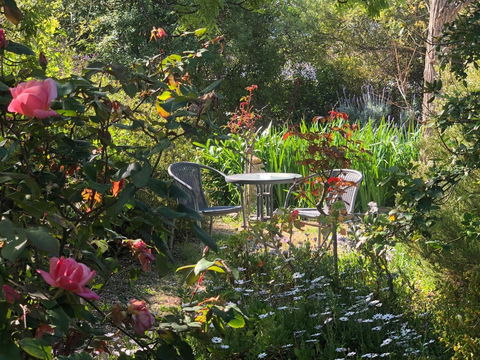 Treasured Memories Cottage - Northern Rivers Accommodation 17