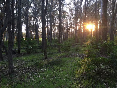 Simala Retreat - Northern Rivers Accommodation 4