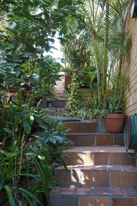 WategosRent - Northern Rivers Accommodation 3